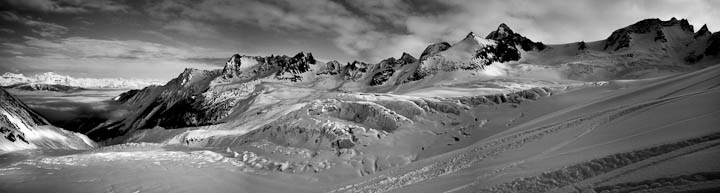 The Neil Mackenzie Trust